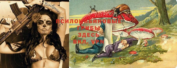 гашиш Туринск
