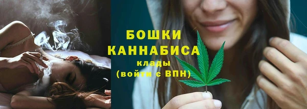 бошки Тында