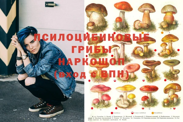 гашиш Туринск