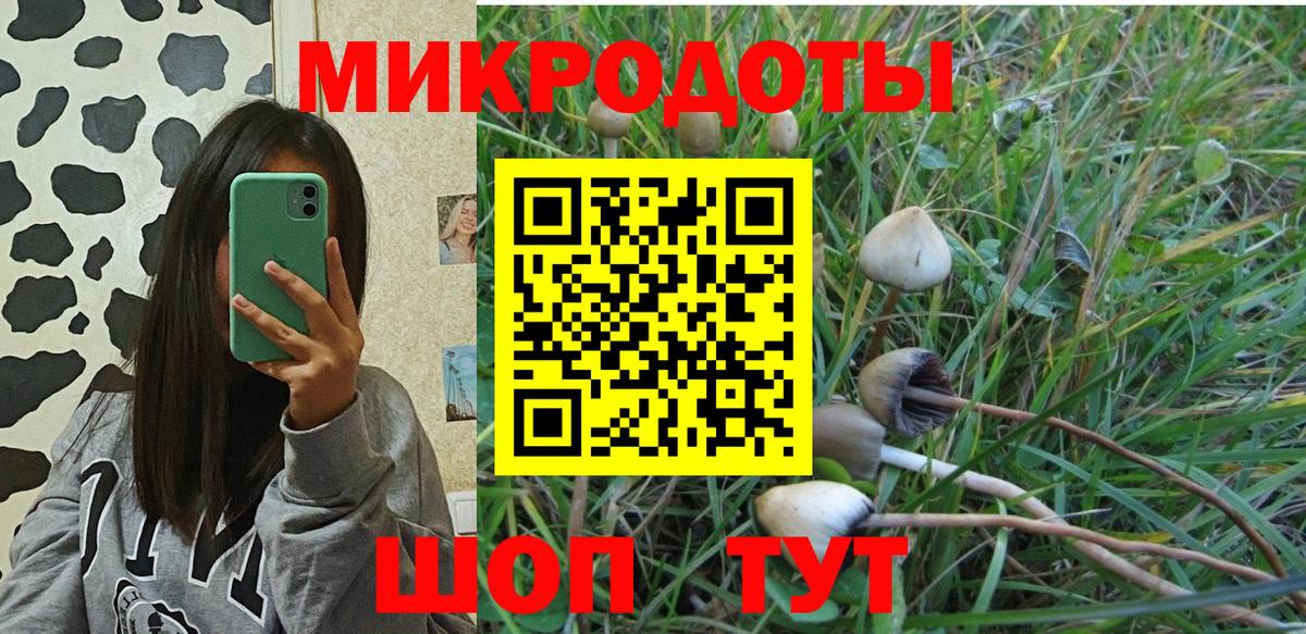 Кострома  Псилоцибиновые грибы Psilocybe  купить закладку  Псилоцибиновые грибы GOLDEN TEACHER  Вход с VPN 