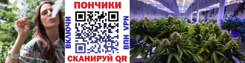 Бошки Шишки Ganja  Кострома 